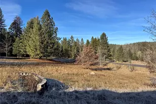 331 Corbett Creek Rd, Colville, WA 99114 - Photo 23