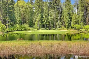 23042 NE 128th Pl, Redmond, WA 98053 - Photo 33