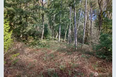 0 Olalla Valley Road SE, Olalla, WA 98359 - Photo 5