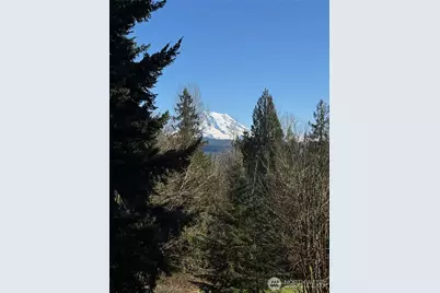 25409 159th Avenue E, Graham, WA 98333 - Photo 39