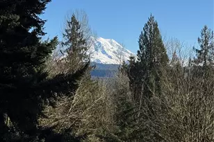 25409 159th Ave E, Graham, WA 98333 - Photo 39