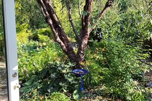 3929 205th Pl SW, Lynnwood, WA 98036 - Photo 29