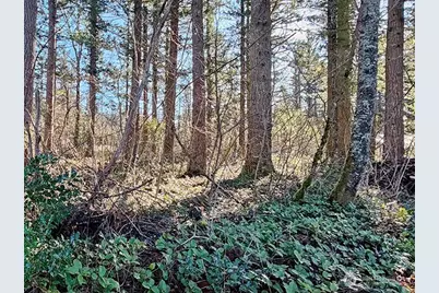 355 Xx 312th St Way SE, Enumclaw, WA 98022 - Photo 7