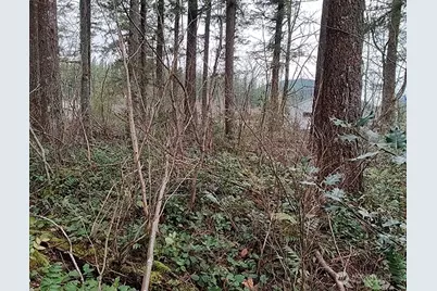 355 Xx 312th St Way SE, Enumclaw, WA 98022 - Photo 19