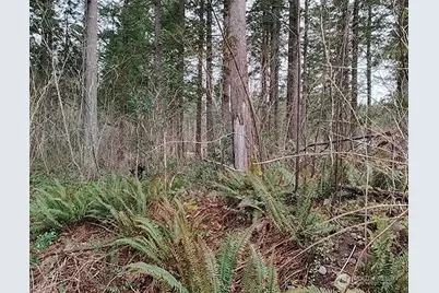 355 Xx 312th St Way SE, Enumclaw, WA 98022 - Photo 23