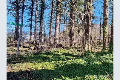 355 Xx 312th St Way SE, Enumclaw, WA 98022 - Photo 11