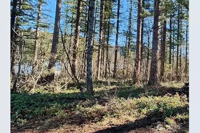 355 Xx 312th St Way SE, Enumclaw, WA 98022 - Photo 13