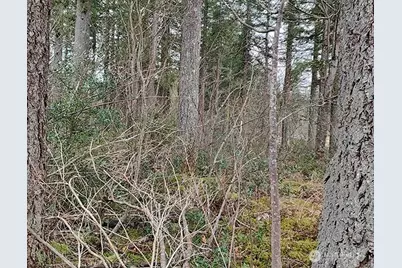 355 Xx 312th St Way SE, Enumclaw, WA 98022 - Photo 21