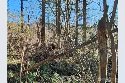 355 Xx 312th St Way SE, Enumclaw, WA 98022 - Photo 9