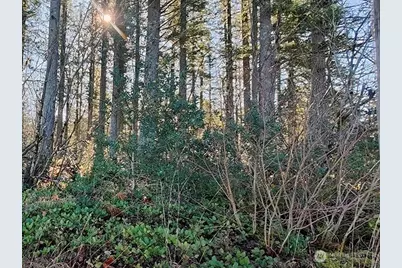 355 Xx 312th St Way SE, Enumclaw, WA 98022 - Photo 5