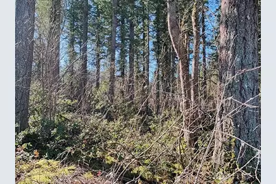 355 Xx 312th St Way SE, Enumclaw, WA 98022 - Photo 3
