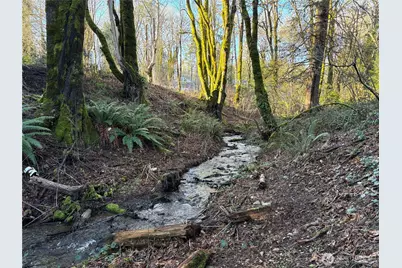 153 E Mason Lake Road, Shelton, WA 98584 - Photo 3