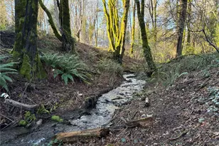 153 E Mason Lake Rd, Shelton, WA 98584 - Photo 3