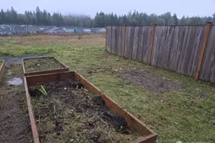 9132 Candytuft Ct SE, Olympia, WA 98501 - Photo 3