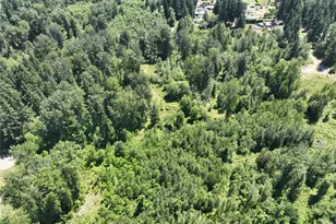 36204 108th Ave Ct E, Eatonville, WA 98328 - Photo 21