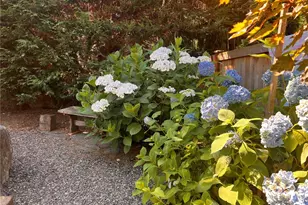 11229 NE 116th Pl, Kirkland, WA 98034 - Photo 37