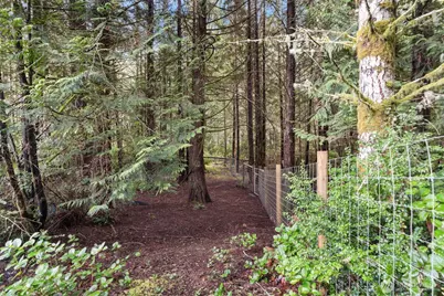 15706 71st Street NW, Lakebay, WA 98349 - Photo 29