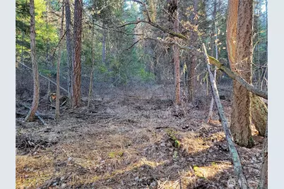 9999 Tbd Lundimo Meadows Road, Curlew, WA 99118 - Photo 5