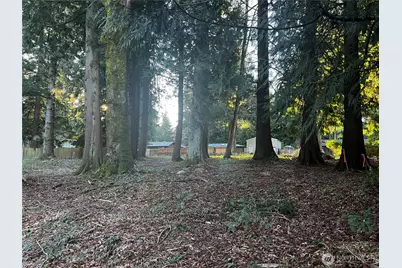 0 Xxx Forest View Drive, Bellingham, WA 98229 - Photo 1