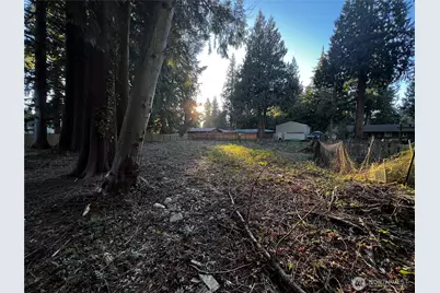 0 Xxx Forest View Drive, Bellingham, WA 98229 - Photo 7