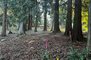 0 Xxx Forest View Dr, Bellingham, WA 98229 - Photo 3