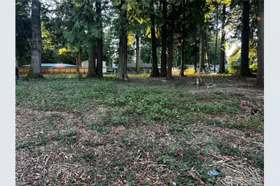 0 Xxx Forest View Drive, Bellingham, WA 98229 - Photo 13