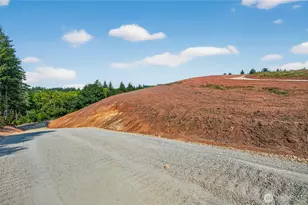 236 Jordan View Dr, Woodland, WA 98674 - Photo 1