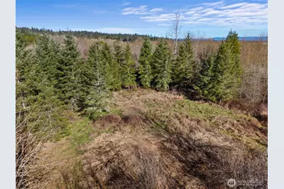 0 Frost Road, Toledo, WA 98591 - Photo 9