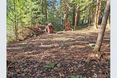 121 Bay View Avenue, Brinnon, WA 98320 - Photo 23