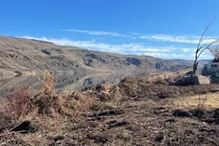 270 Starr Rd, Pateros, WA 98846 - Photo 7