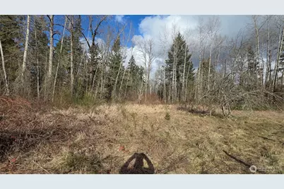 32504 Mountain Highway E, Eatonville, WA 98328 - Photo 11