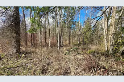 32504 Mountain Highway E, Eatonville, WA 98328 - Photo 7