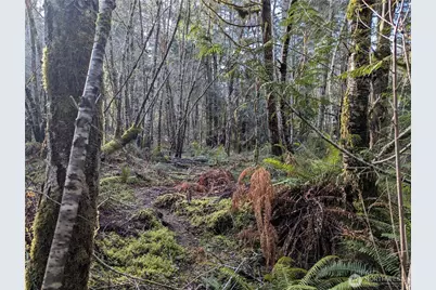 0 E Savage, Grapeview, WA 98546 - Photo 3