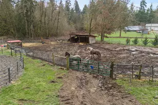 33811 87th Ave S, Roy, WA 98580 - Photo 9