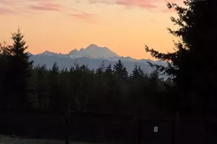 1419 Blackberry Ln, Oak Harbor, WA 98277 - Photo 1