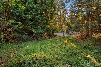 107 133rd Street SW, Vashon, WA 98070 - Photo 1