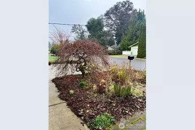 307 X Street, Tumwater, WA 98501 - Photo 3