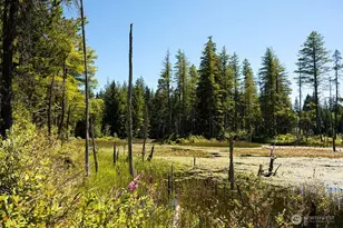 5980 Thornhill Ave SW, Port Orchard, WA 98367 - Photo 25