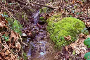 5450 Reese Hill Rd, Sumas, WA 98295 - Photo 29