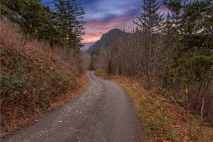 5450 Reese Hill Rd, Sumas, WA 98295 - Photo 33