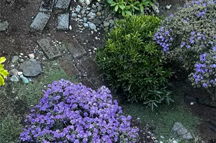 11610 19th Ave SW, Burien, WA 98146 - Photo 37