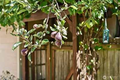 814 130th Street NW, Gig Harbor, WA 98332 - Photo 33