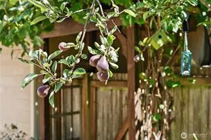 814 130th St NW, Gig Harbor, WA 98332 - Photo 33