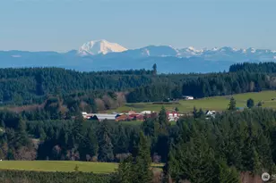 134 8 Macronovic Rd, Chehalis, WA 98532 - Photo 5