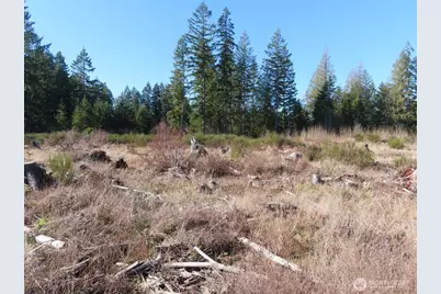 2906 357th Street E, Eatonville, WA 98328 - Photo 11