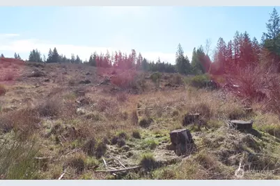 2906 357th Street E, Eatonville, WA 98328 - Photo 9