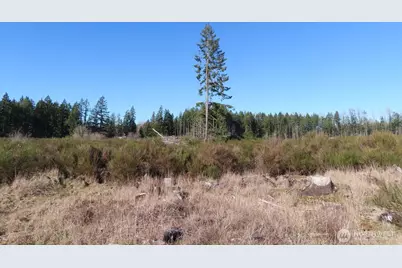 2906 357th Street E, Eatonville, WA 98328 - Photo 15