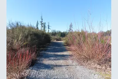 2906 357th Street E, Eatonville, WA 98328 - Photo 21