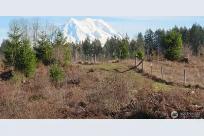 2906 357th Street E, Eatonville, WA 98328 - Photo 7