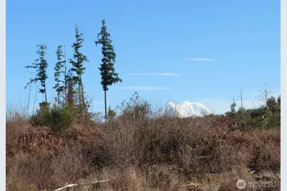 2906 357th Street E, Eatonville, WA 98328 - Photo 3